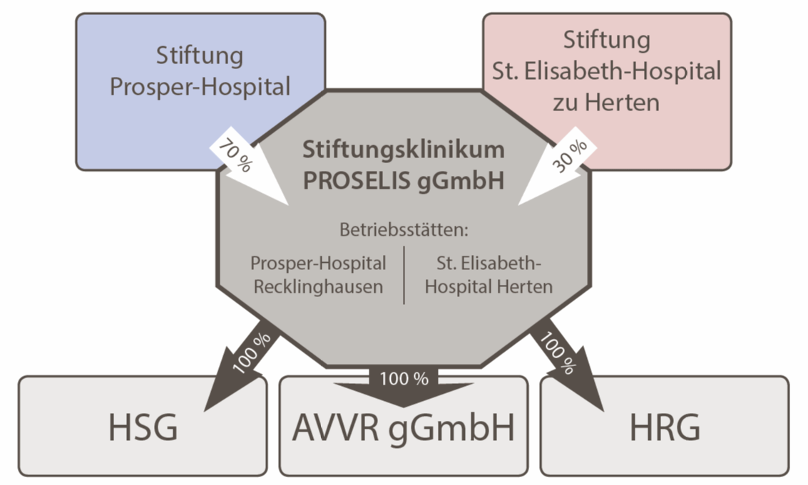 Gesellschaftstruktur